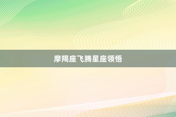 摩羯座飞腾星座领悟