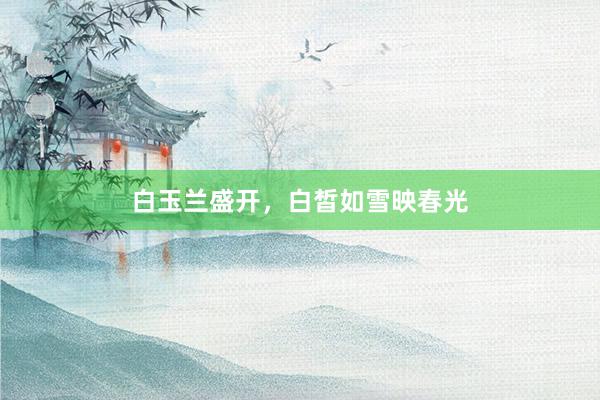 白玉兰盛开，白皙如雪映春光