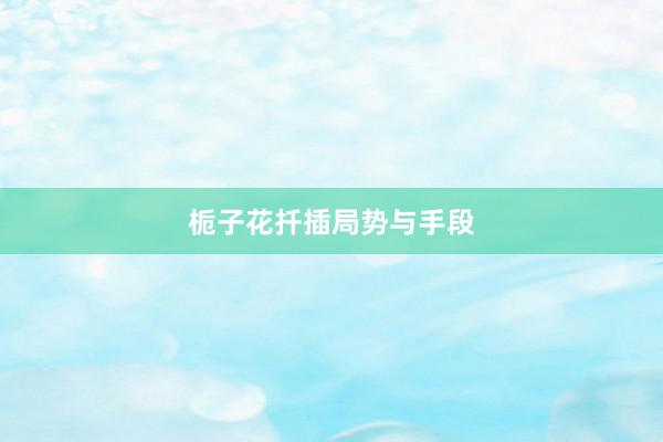 栀子花扦插局势与手段