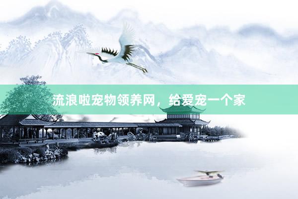 流浪啦宠物领养网，给爱宠一个家