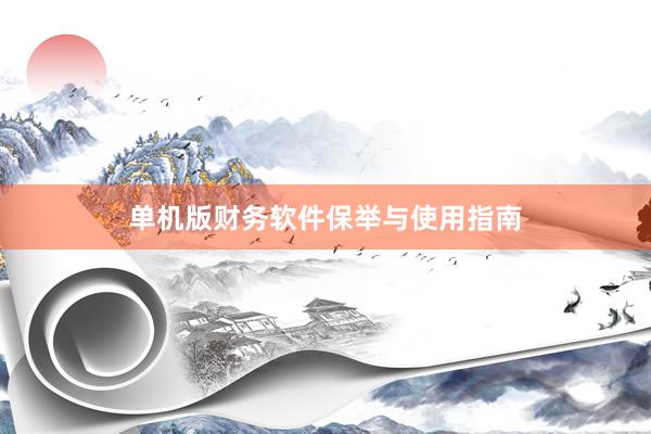 单机版财务软件保举与使用指南